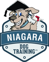 Contact Niagara Dog Training to discuss your training program