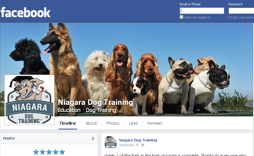 Like Niagara Dog Training on Facebook