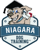 Dog Training at Niagara dog training Ltd.